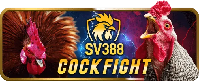 Hướng dẫn chơi Nổ Hũ cơ bản
